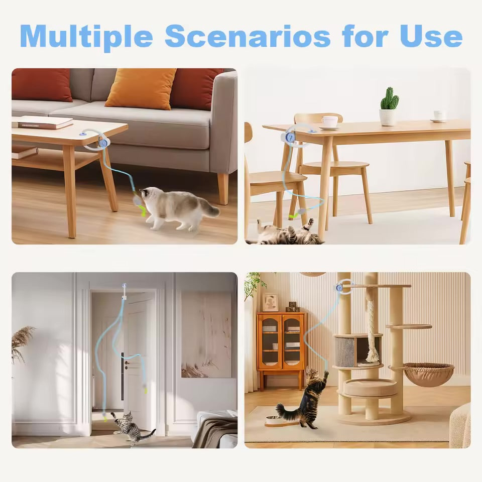 Furry Friends Spin & Chase Cat Toy