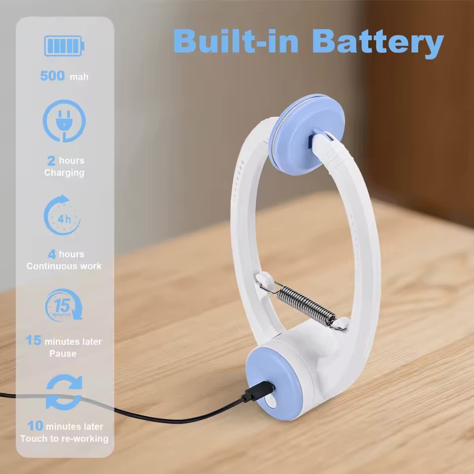 Furry Friends Spin & Chase Cat Toy