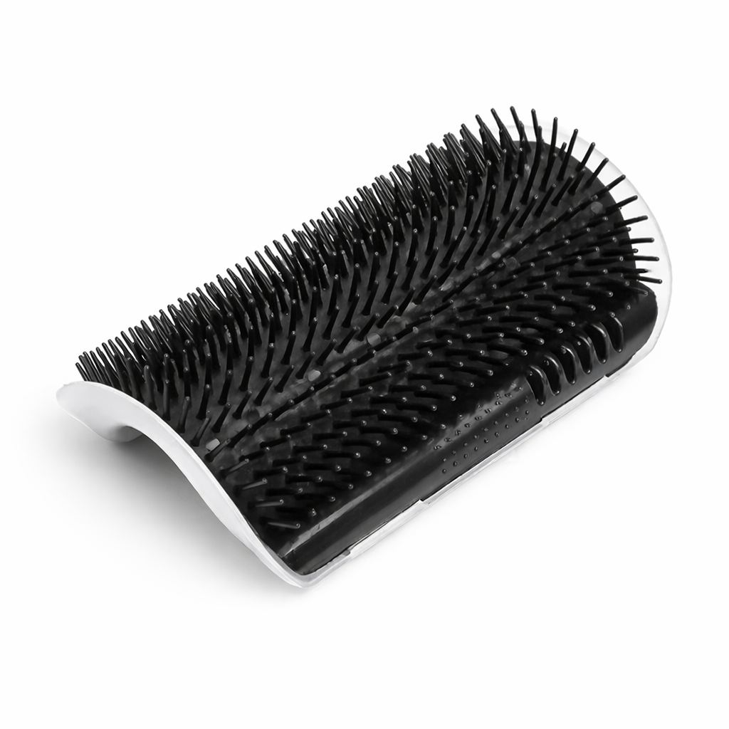 Ayame’s Scratch Spot 🐾