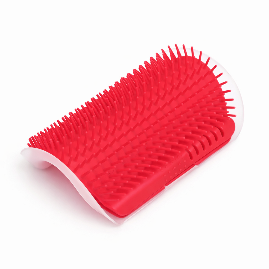 Ayame’s Scratch Spot 🐾