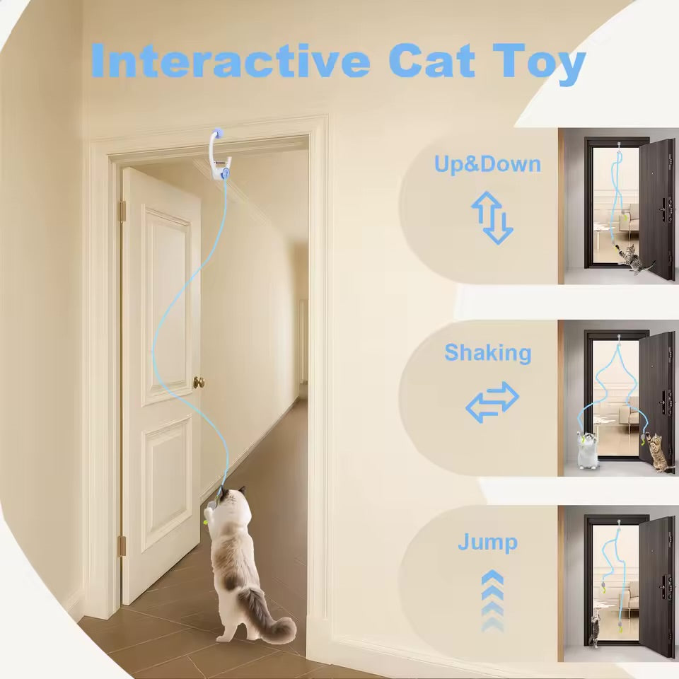 Furry Friends Spin & Chase Cat Toy