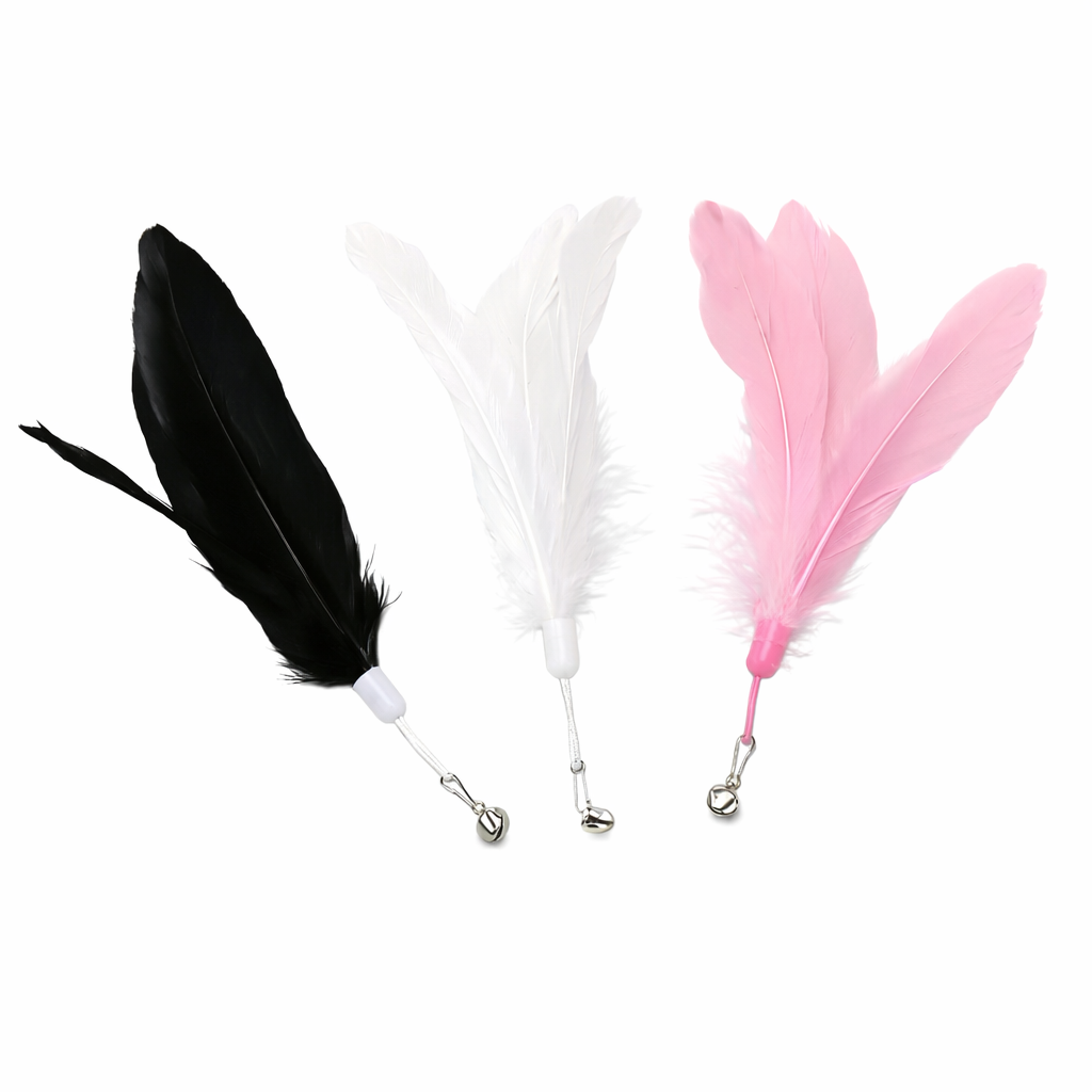 Jump & Pounce Cat Teaser