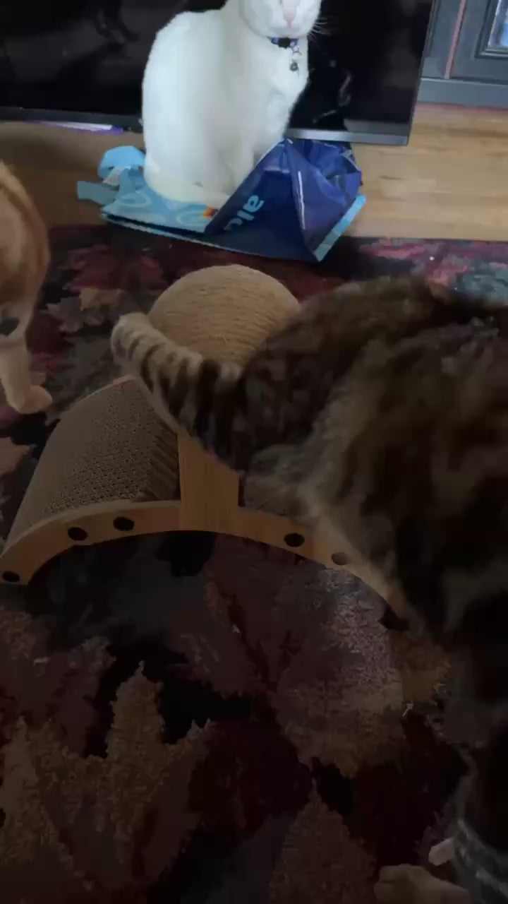 The PawPlay Lounge Scratcher™